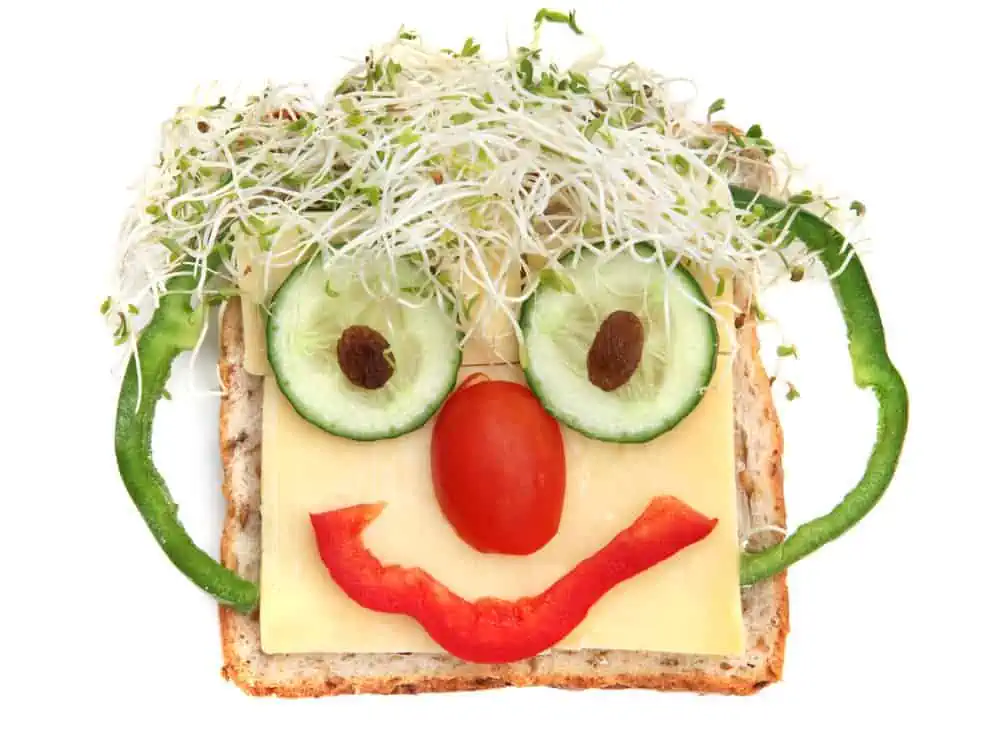 Funny face made from a sandwich- Journal Buddies
