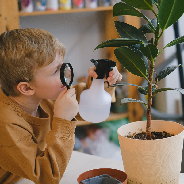 kid looking at a plant in a classroom