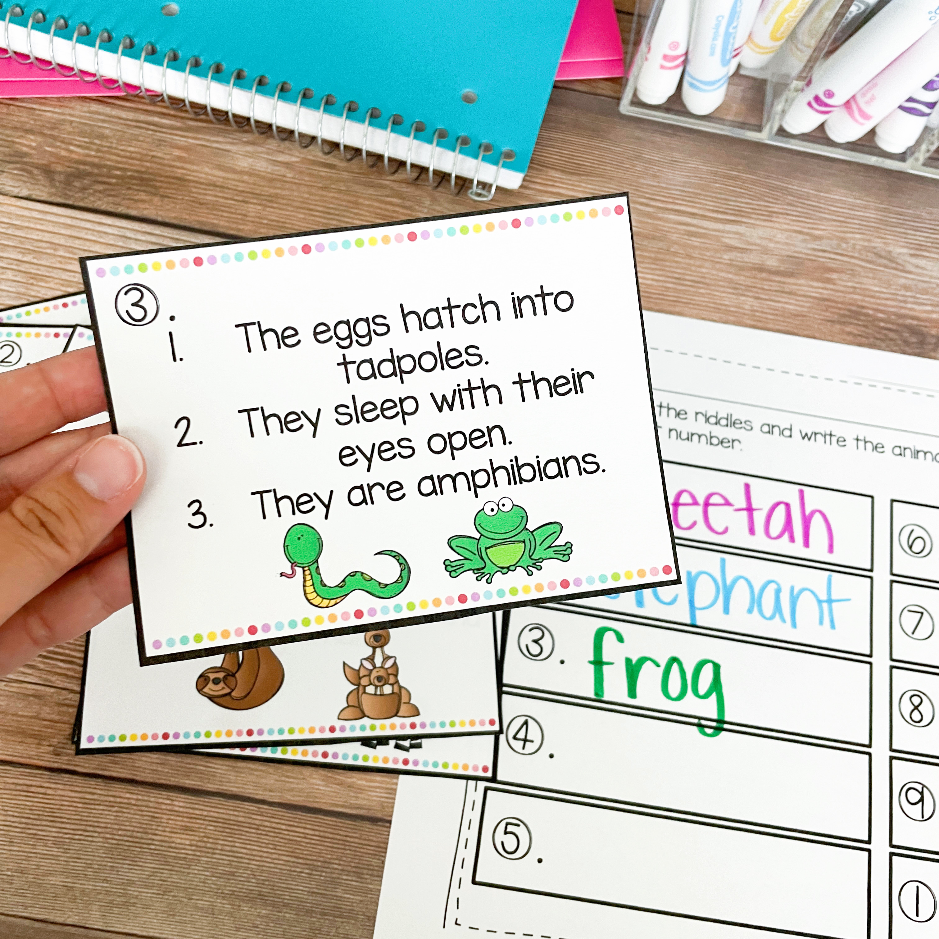 animal riddles- end of year activities